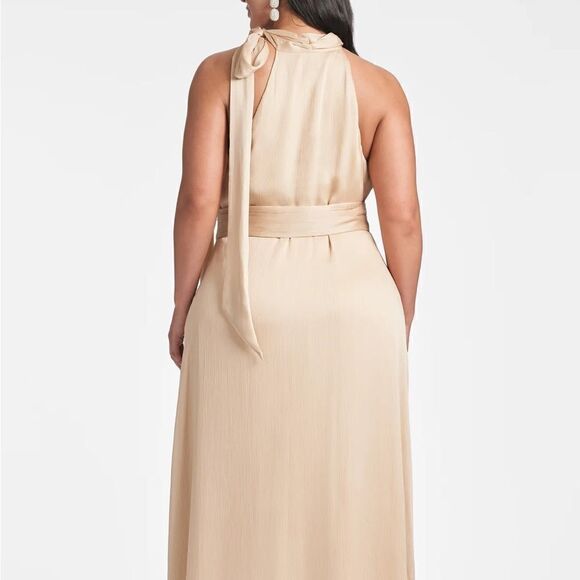 NWT Sachin + Babi KAYLA GOWN - CHAMPAGNE-P17 - Picture 5 of 6